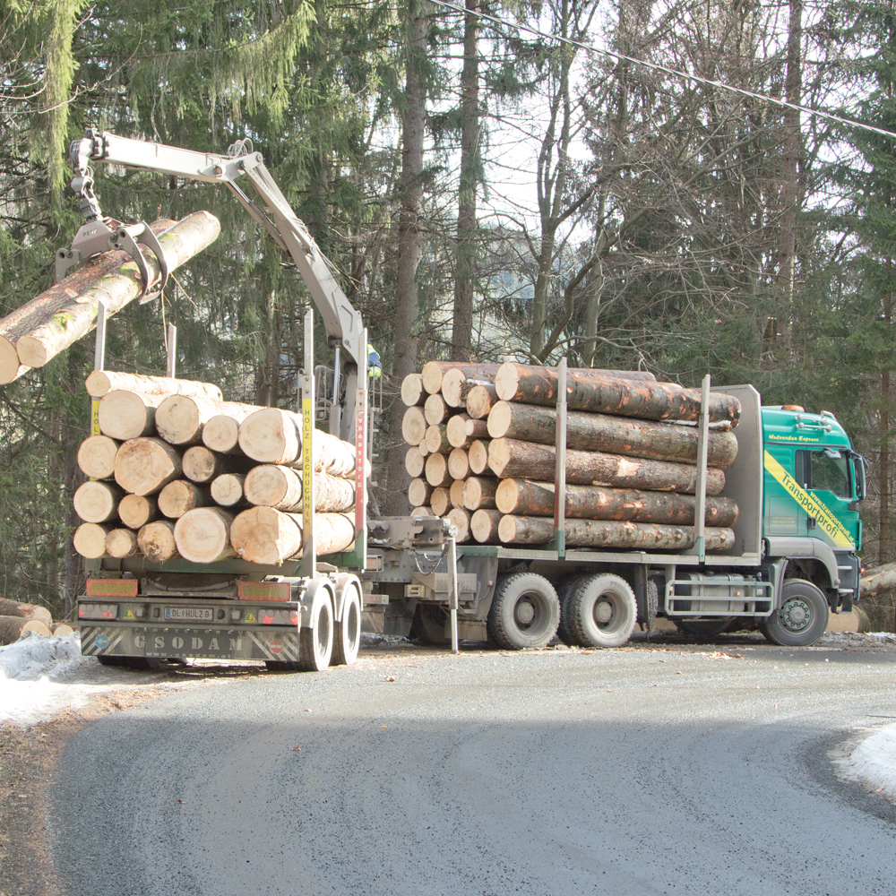 holztransport 3